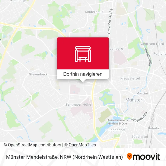 Münster Mendelstraße Karte