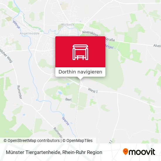 Münster Tiergartenheide Karte
