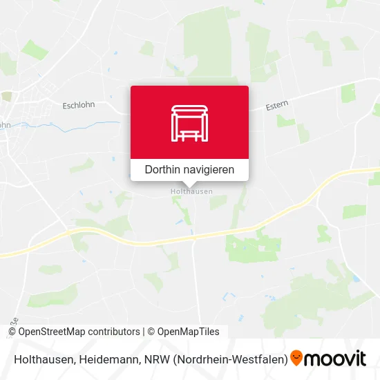 Holthausen, Heidemann Karte