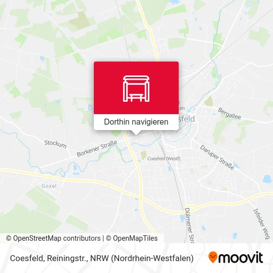Coesfeld, Reiningstr. Karte