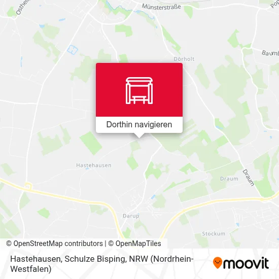 Hastehausen, Schulze Bisping Karte