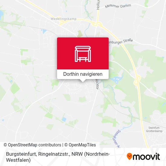 Burgsteinfurt, Ringelnatzstr. Karte