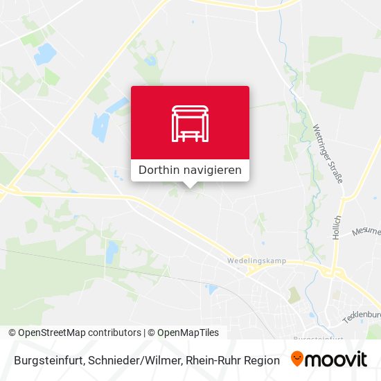 Burgsteinfurt, Schnieder / Wilmer Karte