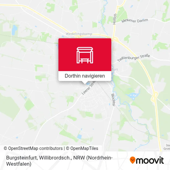 Burgsteinfurt, Willibrordsch. Karte