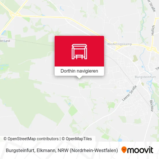 Burgsteinfurt, Elkmann Karte