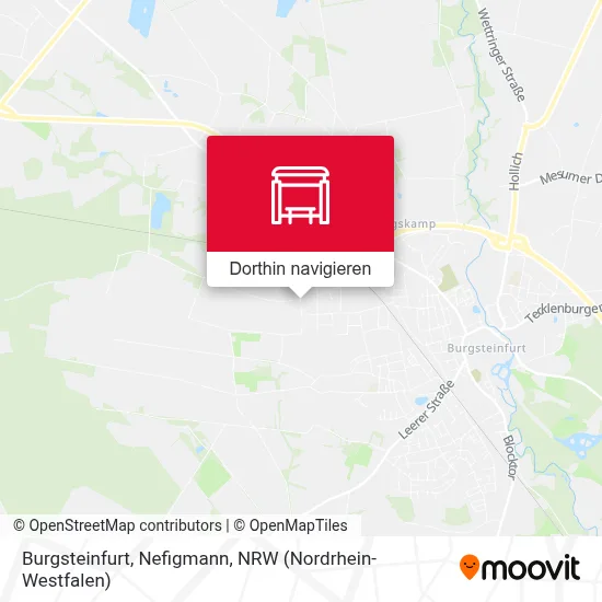 Burgsteinfurt, Nefigmann Karte