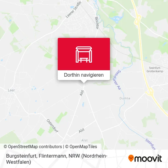 Burgsteinfurt, Flintermann Karte