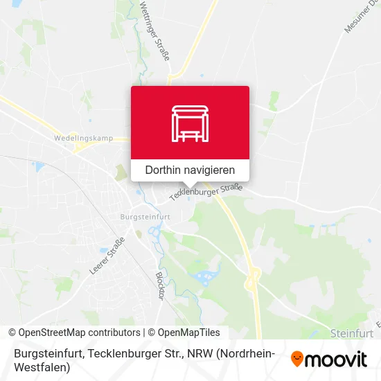 Burgsteinfurt, Tecklenburger Str. Karte