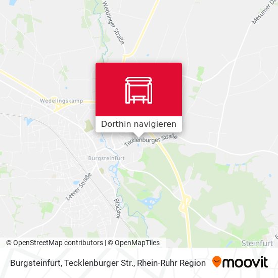 Burgsteinfurt, Tecklenburger Str. Karte