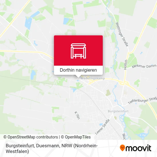 Burgsteinfurt, Duesmann Karte