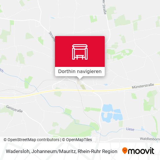 Wadersloh, Johanneum/Mauritz Karte