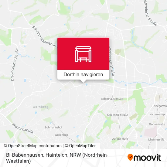 Bi-Babenhausen, Hainteich Karte