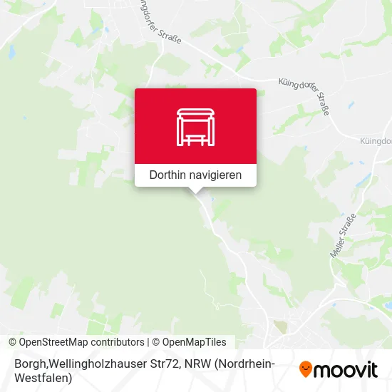 Borgh,Wellingholzhauser Str72 Karte