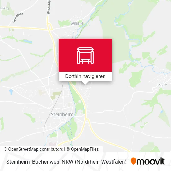 Steinheim, Buchenweg Karte
