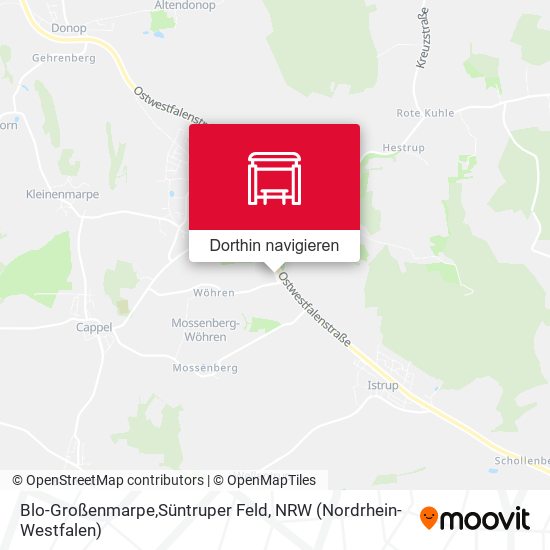 Blo-Großenmarpe,Süntruper Feld Karte