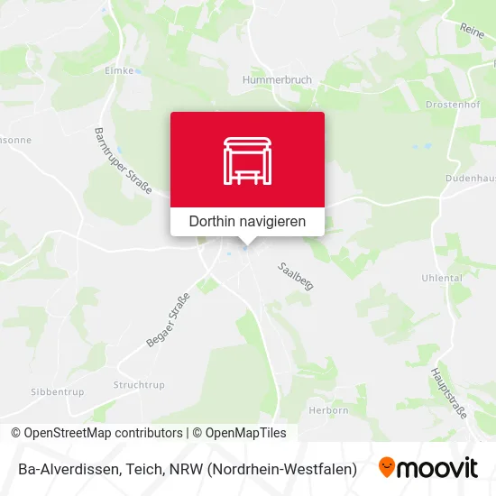 Ba-Alverdissen, Teich Karte