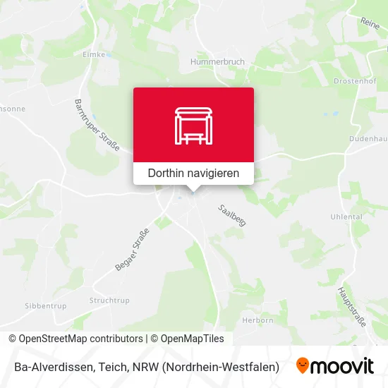 Ba-Alverdissen, Teich Karte