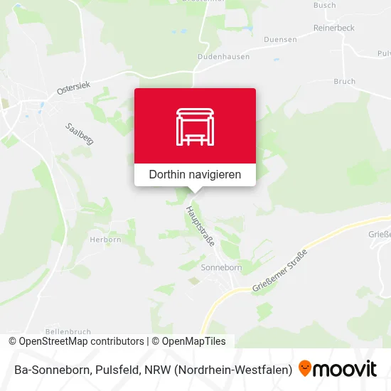 Ba-Sonneborn, Pulsfeld Karte