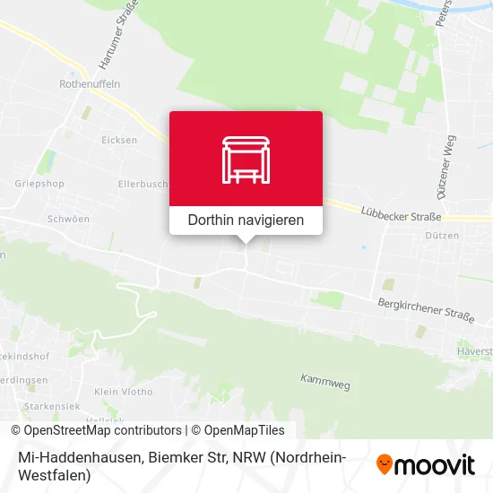 Mi-Haddenhausen, Biemker Str Karte