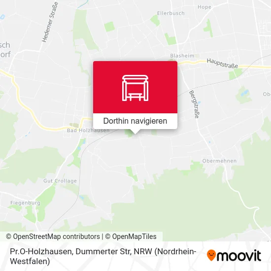 Pr.O-Holzhausen, Dummerter Str Karte