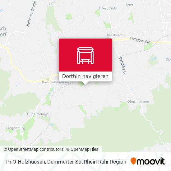 Pr.O-Holzhausen, Dummerter Str Karte