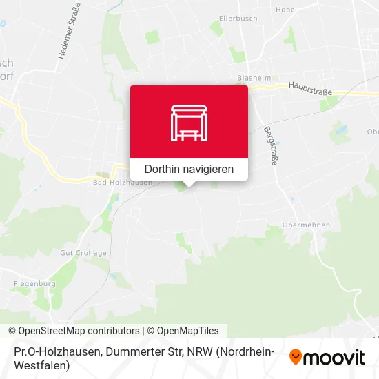 Pr.O-Holzhausen, Dummerter Str Karte