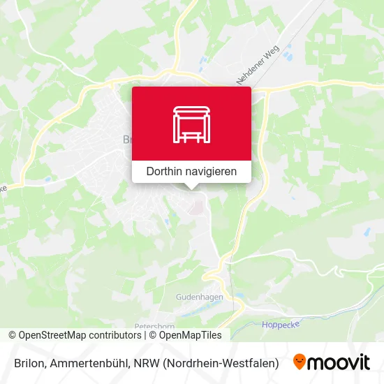 Brilon, Ammertenbühl Karte