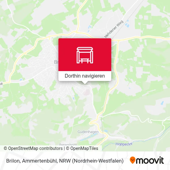 Brilon, Ammertenbühl Karte