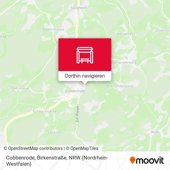 Cobbenrode, Birkenstraße Karte