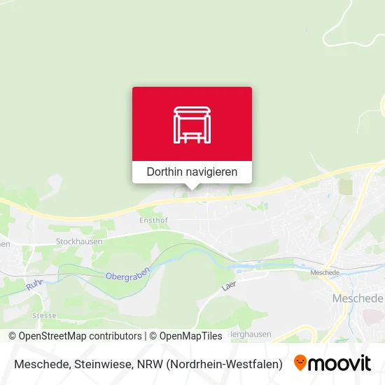 Meschede, Steinwiese Karte