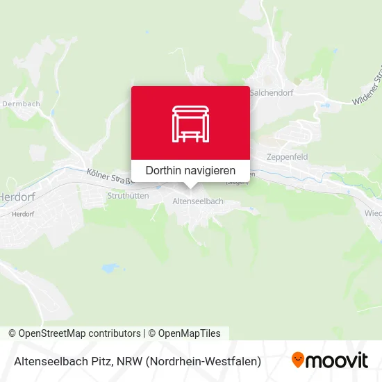 Altenseelbach Pitz Karte