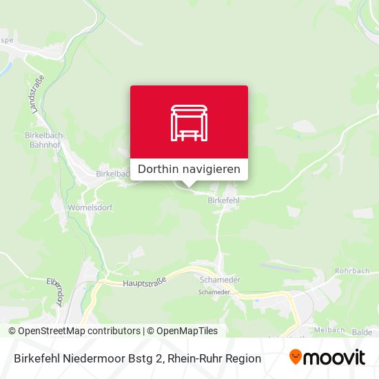 Birkefehl Niedermoor Bstg 2 Karte