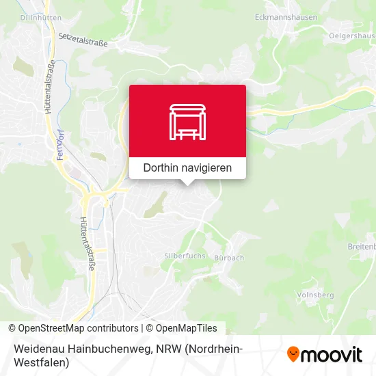 Weidenau Hainbuchenweg Karte