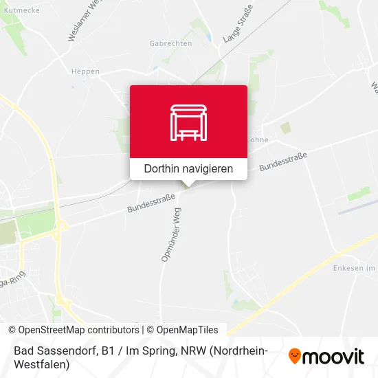 Bad Sassendorf, B1 / Im Spring Karte