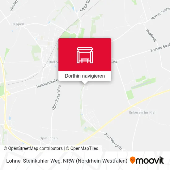 Lohne, Steinkuhler Weg Karte