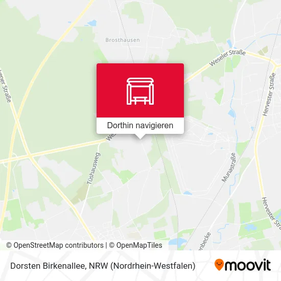 Dorsten Birkenallee Karte