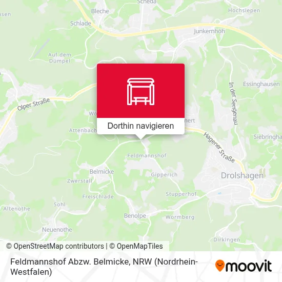 Feldmannshof Abzw. Belmicke Karte