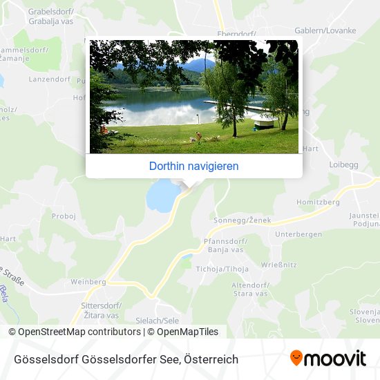 Gösselsdorf Gösselsdorfer See Karte