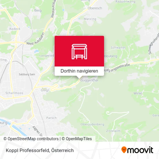 Koppl Professorfeld Karte