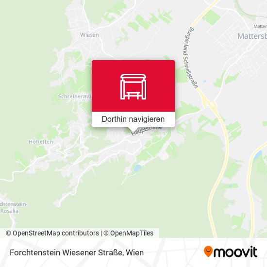 Forchtenstein Wiesener Straße Karte