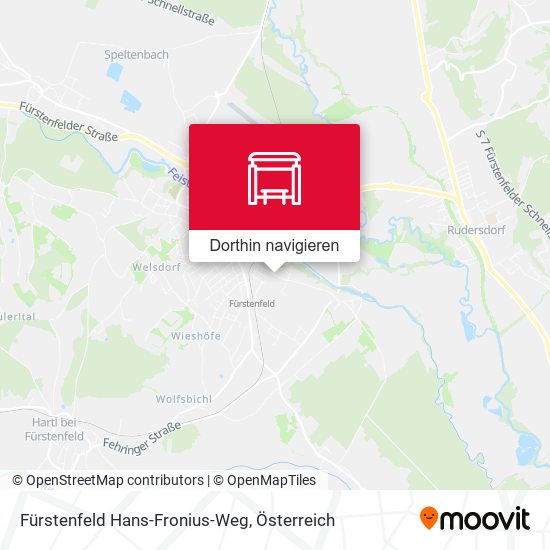 Fürstenfeld Hans-Fronius-Weg Karte