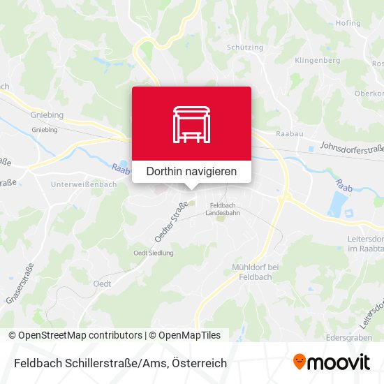 Feldbach Schillerstraße/Ams Karte