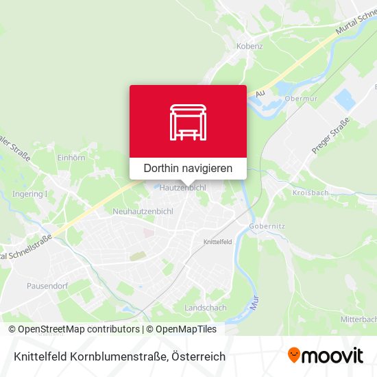 Knittelfeld Kornblumenstraße Karte