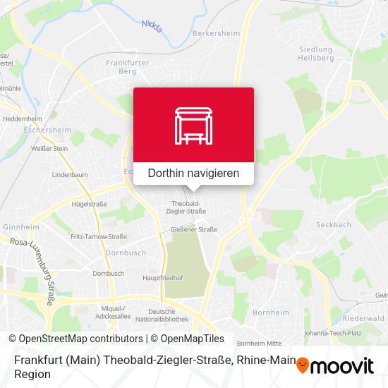 Frankfurt (Main) Theobald-Ziegler-Straße Karte