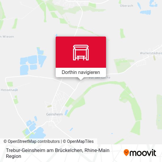 Trebur-Geinsheim am Brückelchen Karte
