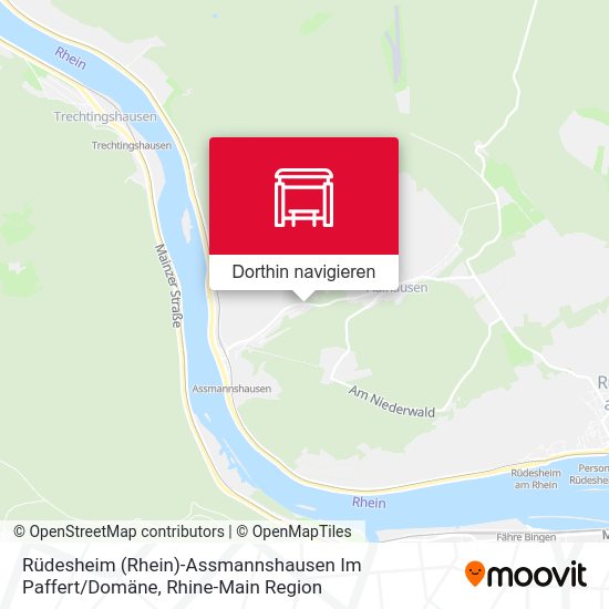 Rüdesheim (Rhein)-Assmannshausen Im Paffert / Domäne Karte