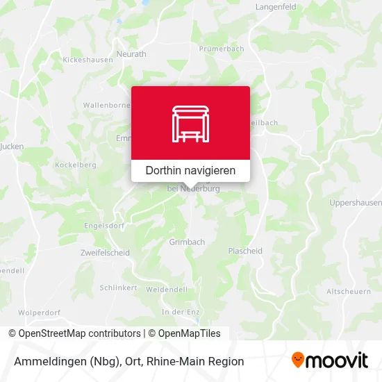 Ammeldingen (Nbg), Ort Karte