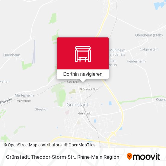 Grünstadt, Theodor-Storm-Str. Karte