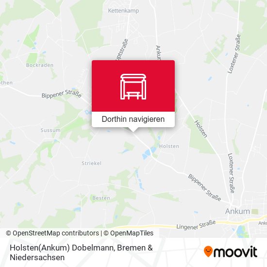 Holsten(Ankum) Dobelmann Karte