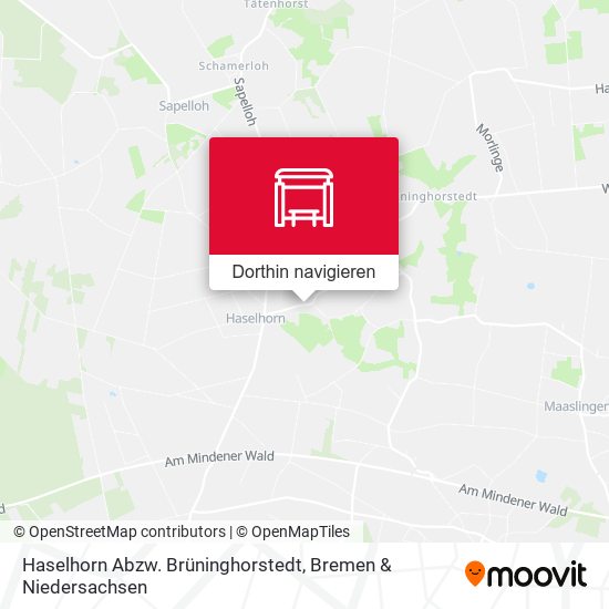 Haselhorn Abzw. Brüninghorstedt Karte